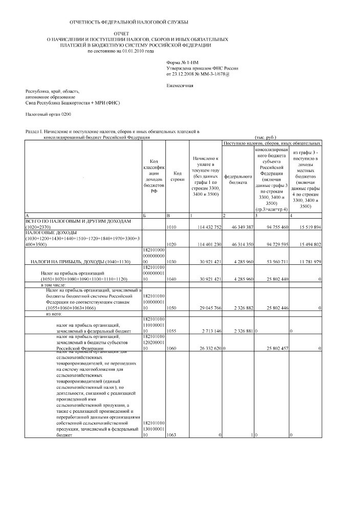 Рис. 1. Форма 1-НМ статистической налоговой отчетности (раздел 1)
